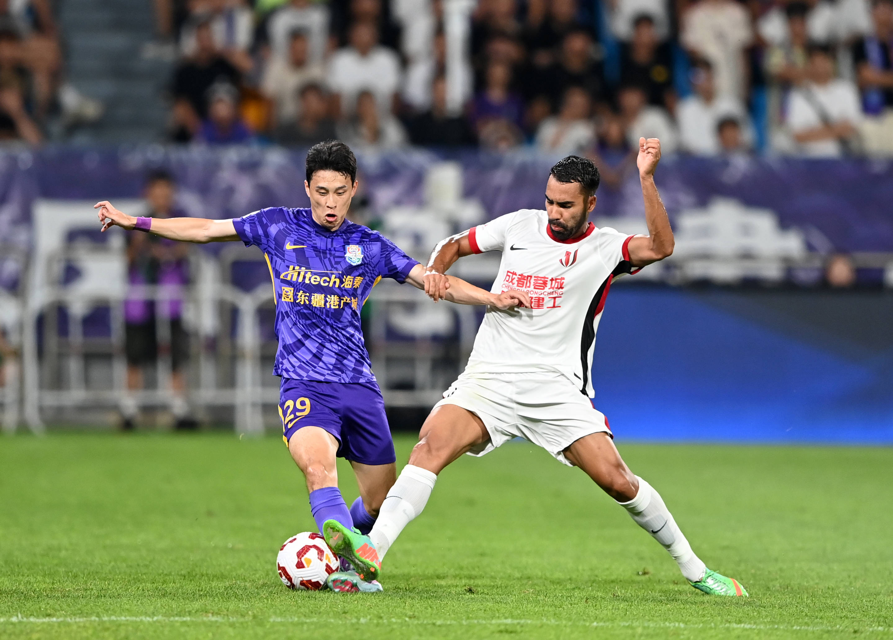 野联动决策 野联动决策