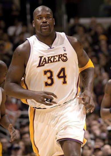 菲尼克斯太 菲尼克斯太